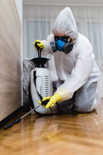 Best Fumigation Services  in Harwood Heights, IL